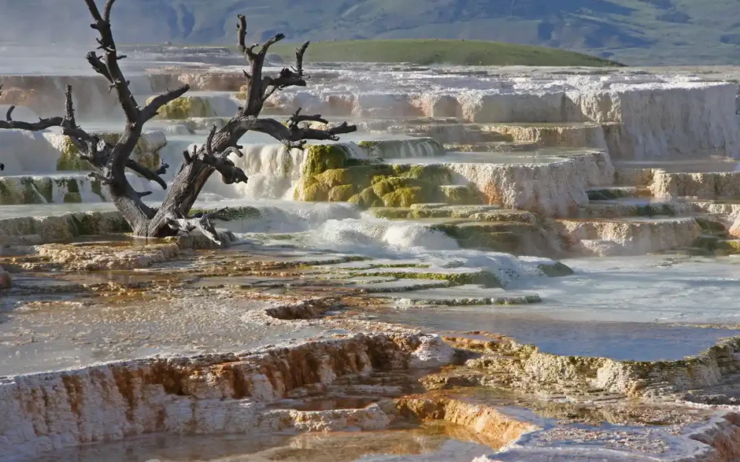Mammoth Hot Springs – Yellowstone